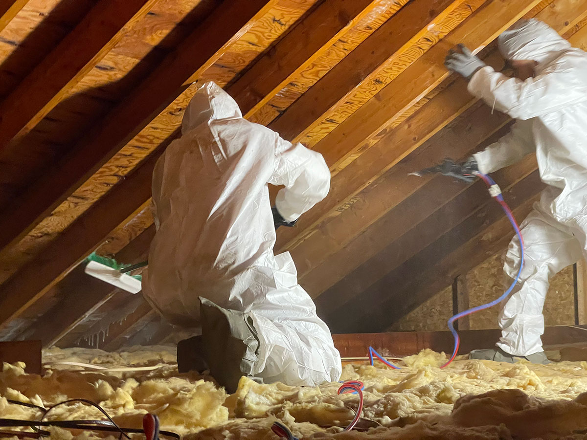 Mold Remediation Company in Spring Lake Heights NJ