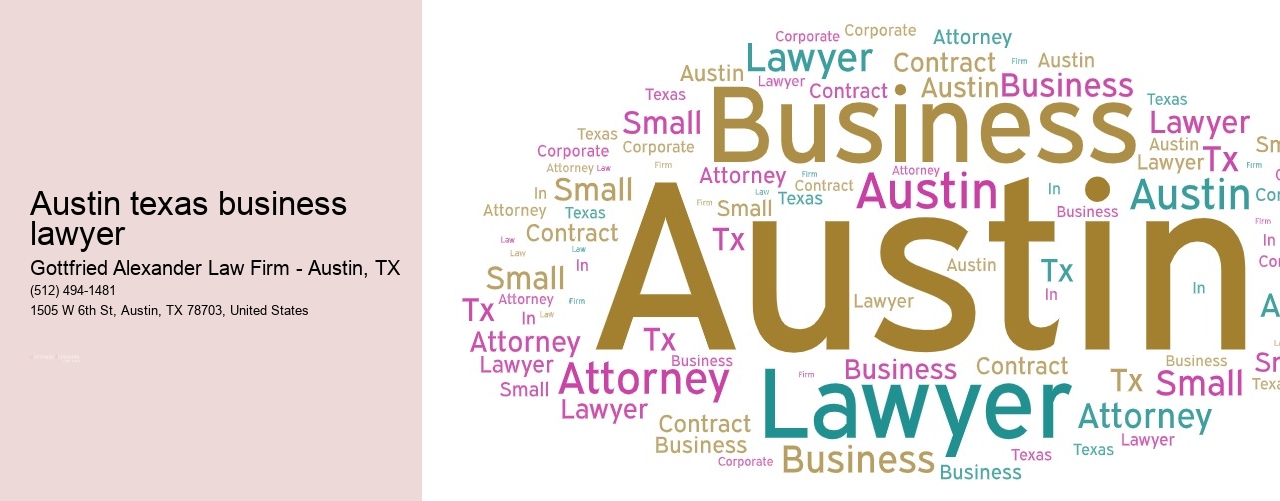 Austin texas business lawyer