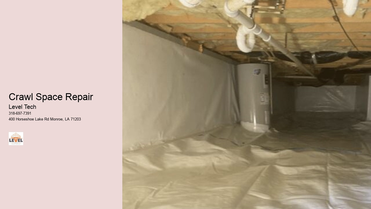 Crawl Space Repair