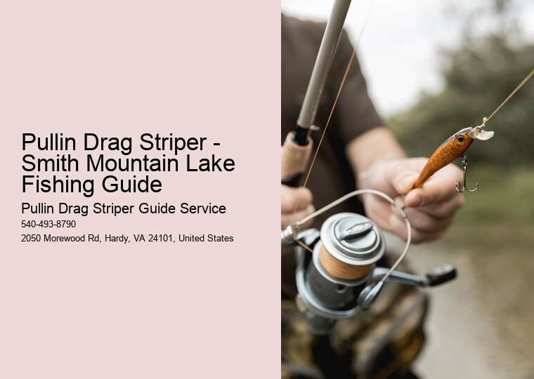 Pullin Drag Striper - Smith Mountain Lake Fishing Guide