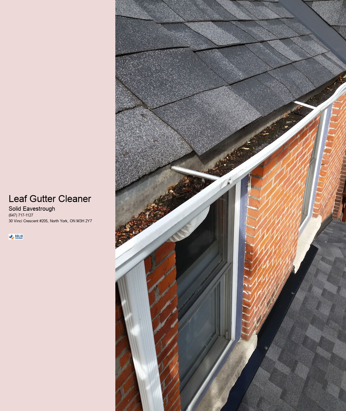 Leaf Gutter Cleaner