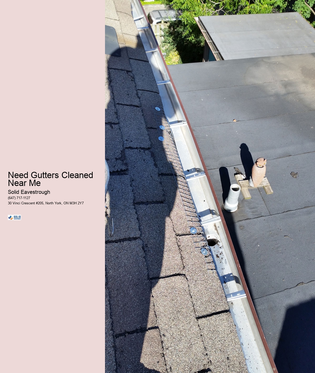 Need Gutters Cleaned Near Me