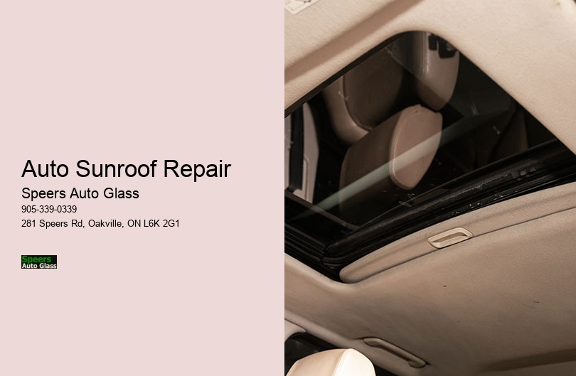 Auto Sunroof Repair
