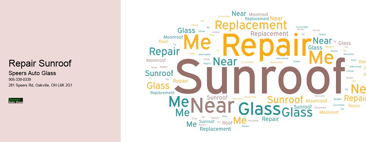 Repair Sunroof