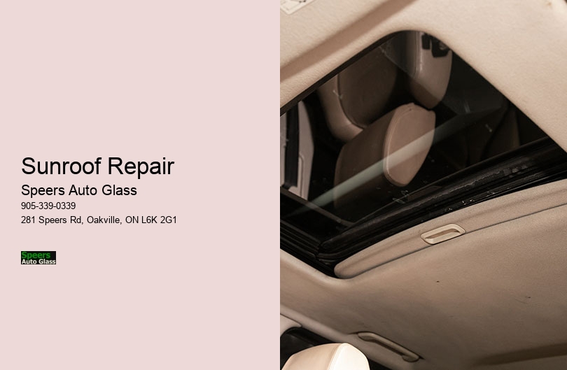Sunroof Repair