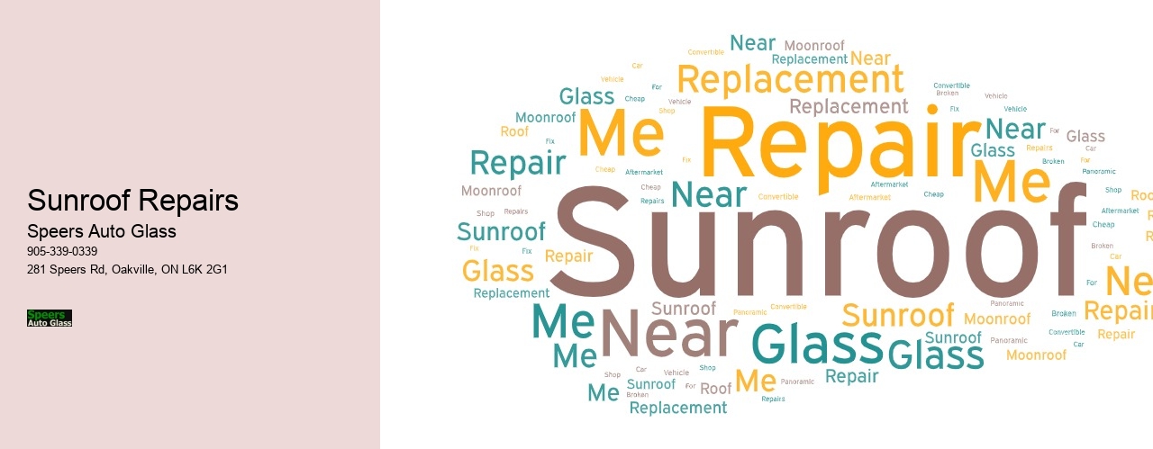 Sunroof Repairs