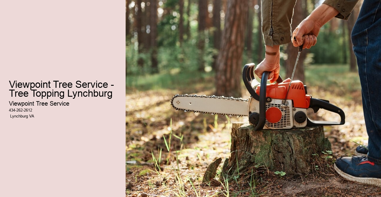Viewpoint Tree Service - Tree Topping Lynchburg