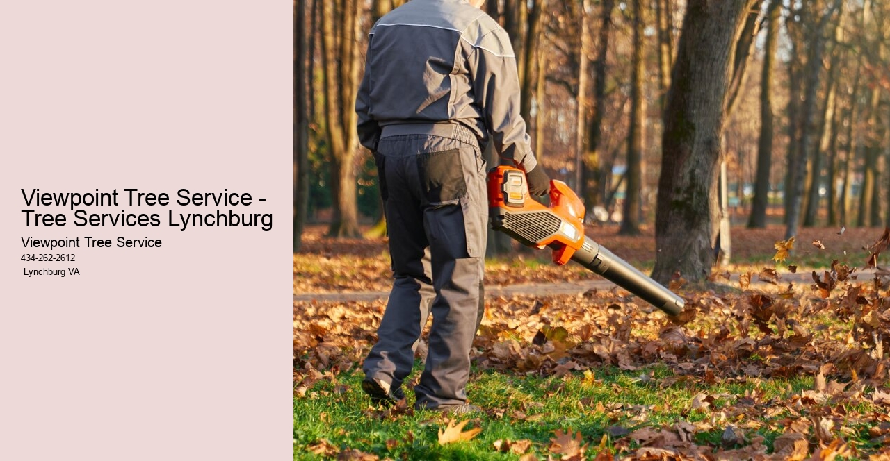 Viewpoint Tree Service - Tree Services Lynchburg